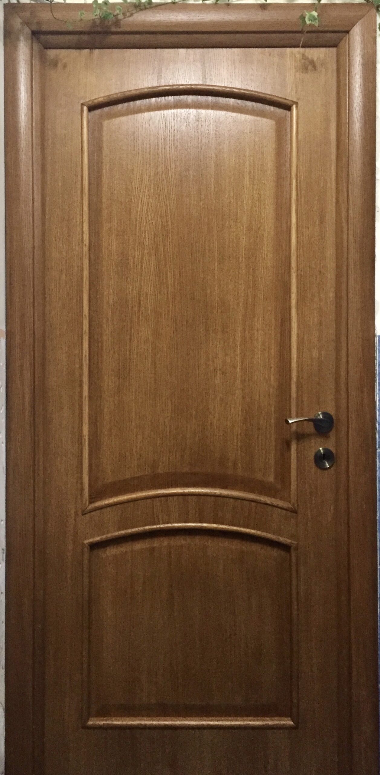 f19_1.jpg Ușă furniruită F19 - imagine 1